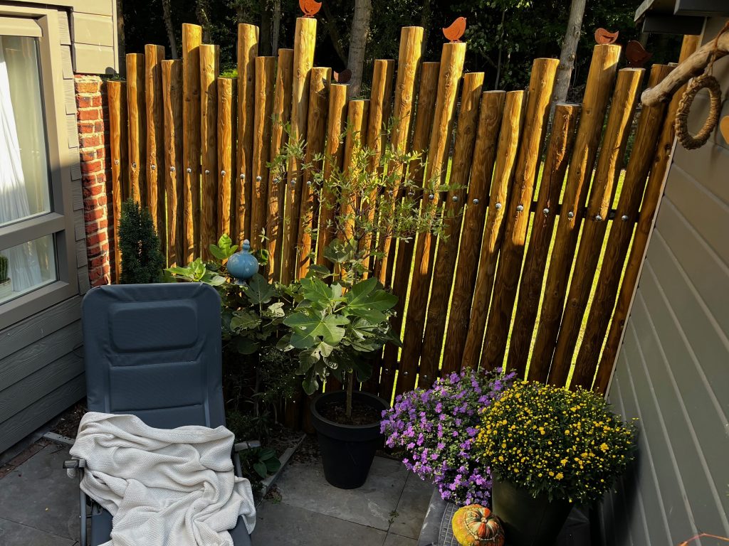 Aussen_Garten_Waldblick_7